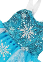Load image into Gallery viewer, Elsa Snow Princess Tulle Tutu Dress Costume with Jewellery Set - Fox Baby &amp; Co
