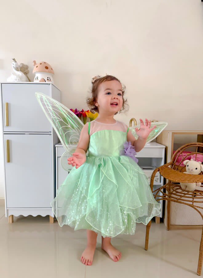 Tinker Fairy Princess Dress & matching Wings - Fox Baby & Co