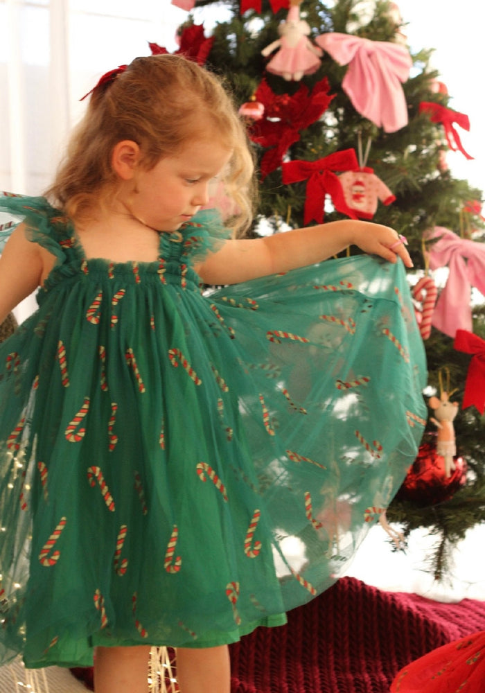 Christmas Mystery Dress - Limited Stock $45 - Fox Baby & Co