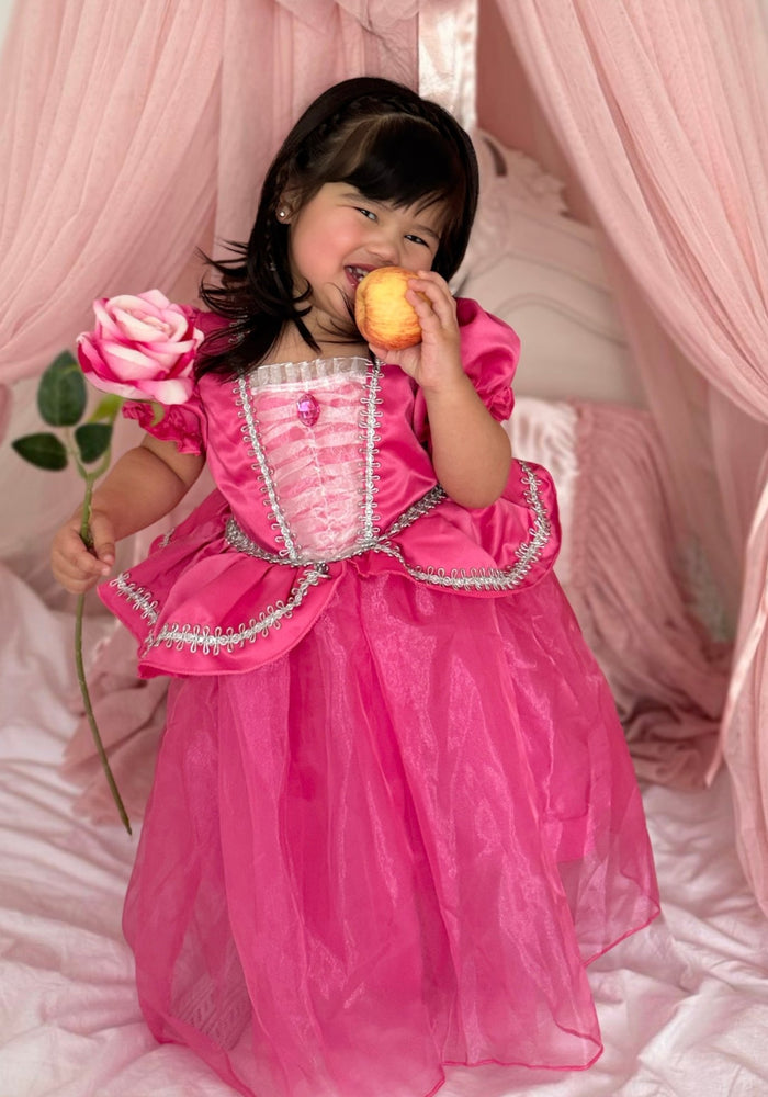 Mini Baby Aurora Luxe Princess Party Dress - Fox Baby & Co