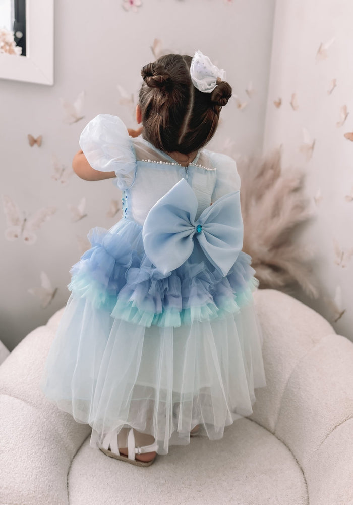 Bluebell Luxe Princess Birthday Party Dress Costume - Fox Baby & Co