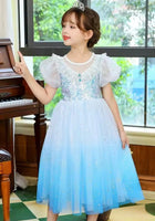 Load image into Gallery viewer, Elsa Lace Princess Party Dress Costume &amp; Cape - Blue - Fox Baby &amp; Co
