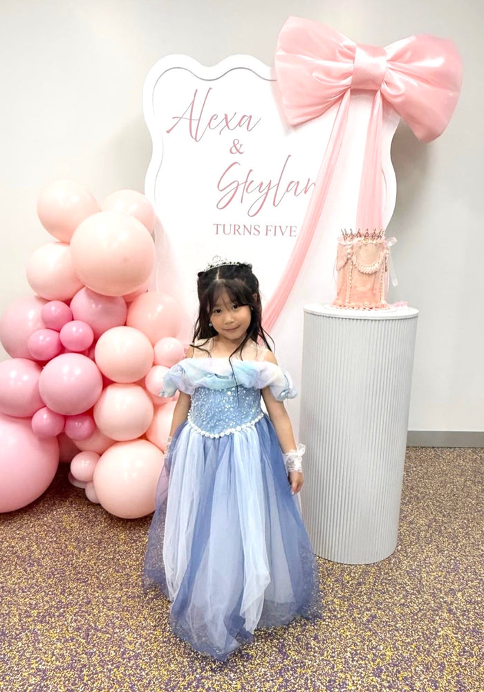 Blue Whimsical Cinderella Princess Luxe Party Dress - Fox Baby & Co