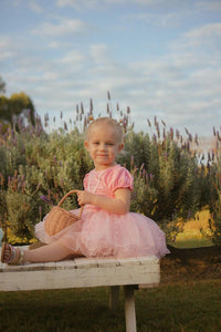 Pretty Pink Princess Birthday Tutu - Fox Baby & Co