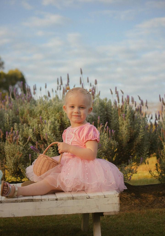 Pretty Pink Princess Birthday Tutu - Fox Baby & Co