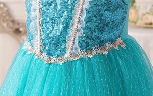 Jasmine Princess Birthday Party Dress Costume (pre order)