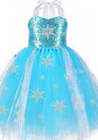 Load image into Gallery viewer, Elsa Snow Princess Tulle Tutu Dress Costume with Jewellery Set - Fox Baby &amp; Co
