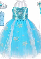 Load image into Gallery viewer, Elsa Snow Princess Tulle Tutu Dress Costume with Jewellery Set - Fox Baby &amp; Co
