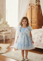 Load image into Gallery viewer, Kids girls Tea Party Butterfly Tulle Dress - Blue - Fox Baby &amp; Co
