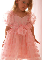 Load image into Gallery viewer, Kids girls Tea Party Butterfly Tulle Dress - Pink - Fox Baby &amp; Co
