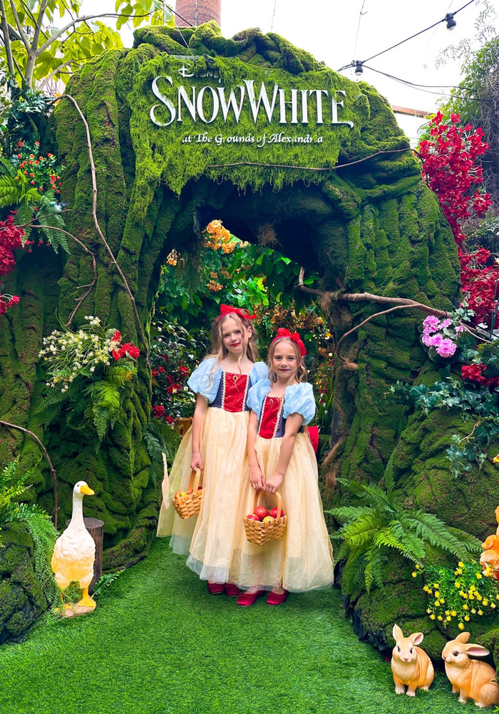 Magical Snow White Luxe Princess Party Dress Costume - Fox Baby & Co