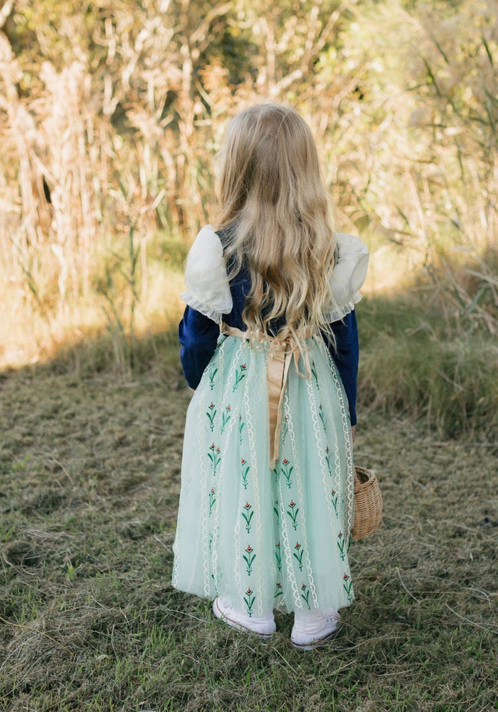 Enchanted Anna Princess Long Sleeve Party Dress Costume - Fox Baby & Co