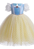 Load image into Gallery viewer, Magical Princess Birthday Party Dress Costume (Pre order)
