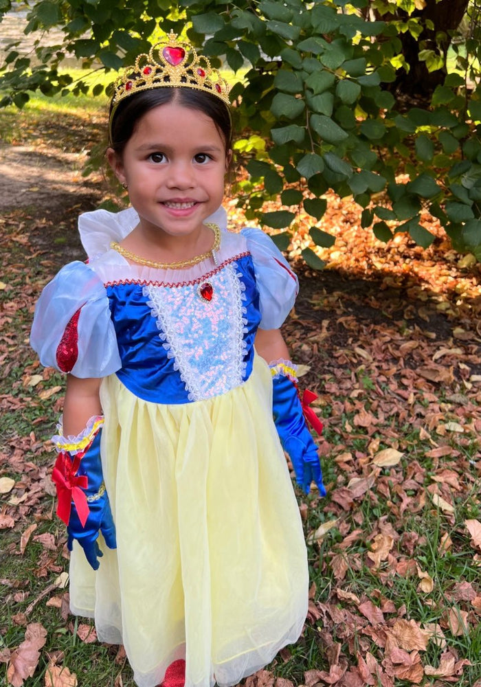 Magical Snow White Luxe Princess Birthday Party Dress Costume & Jewellery Set - Fox Baby & Co