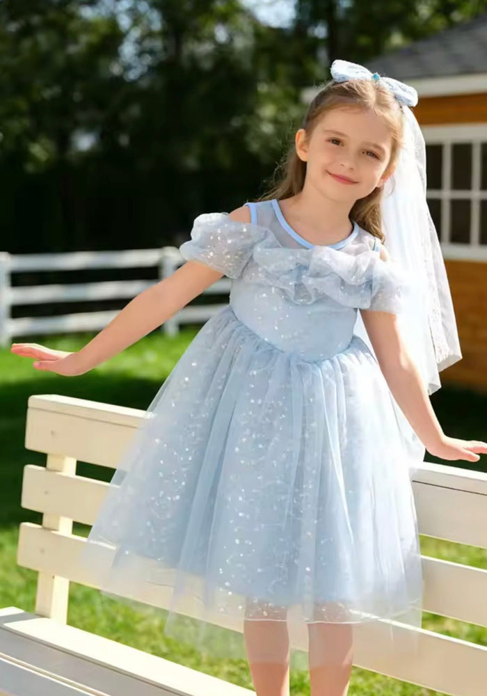 Sparkle Cinderella Princess Luxe Birthday Party Dress Costume - Fox Baby & Co