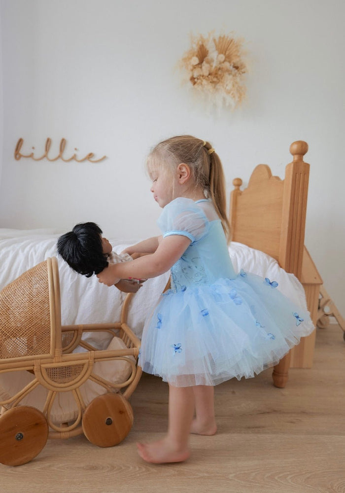 Cinderella Princess Birthday Tutu (limited edition) - Fox Baby & Co