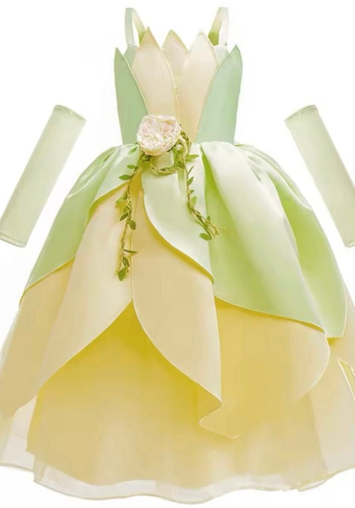 Tiana Whimsical Princess Party Dress (pre order) - Fox Baby & Co