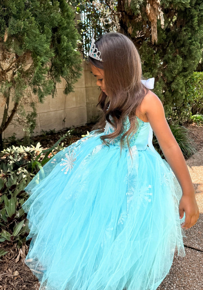 Elsa Snow Princess Tulle Tutu Dress Costume with Jewellery Set - Fox Baby & Co