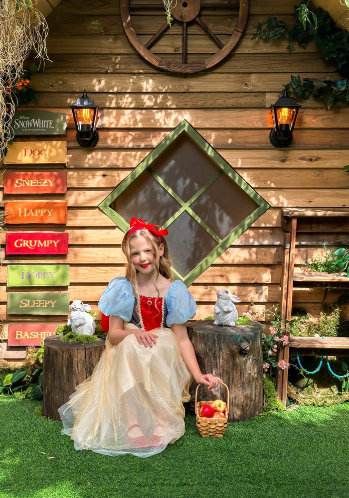Magical Snow White Luxe Princess Party Dress Costume - Fox Baby & Co