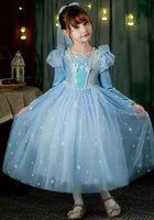 Load image into Gallery viewer, Snow Elsa Princess Birthday Long Sleeve Party Dress Costume - Fox Baby &amp; Co
