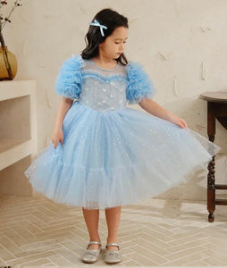 Birthday Girl Blue Princess Party Dress (pre order)