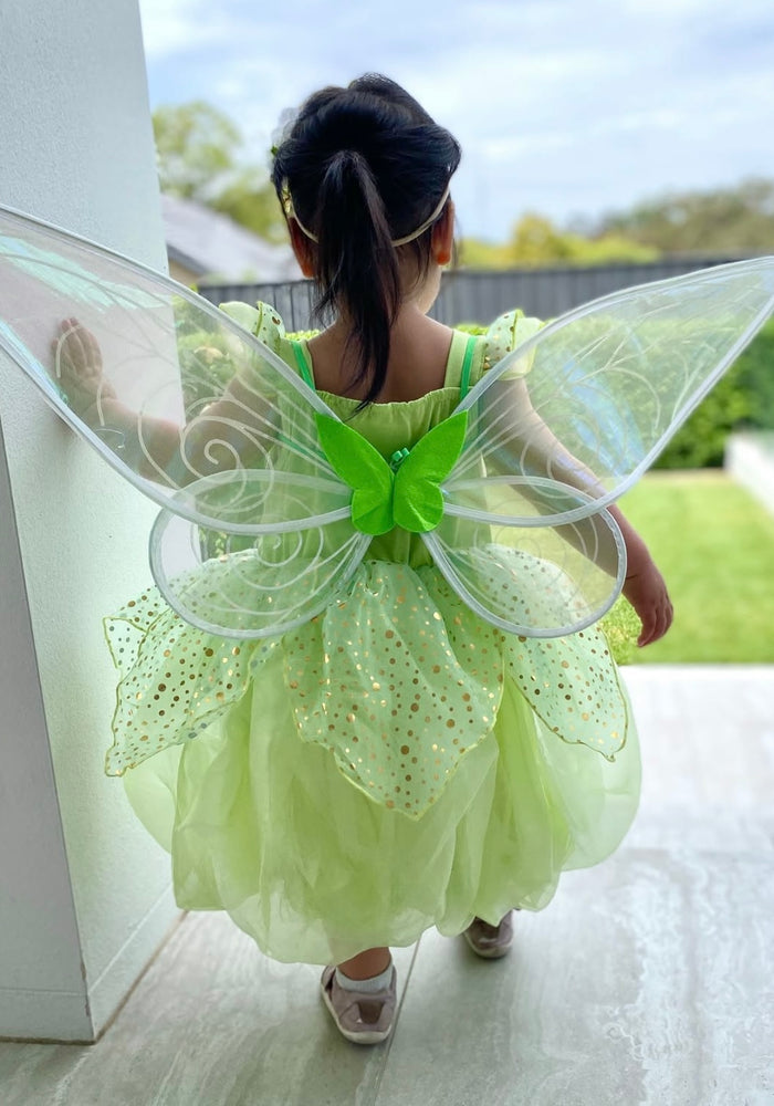 NEW Tinker Fairy Princess Dress & matching Wings - Fox Baby & Co