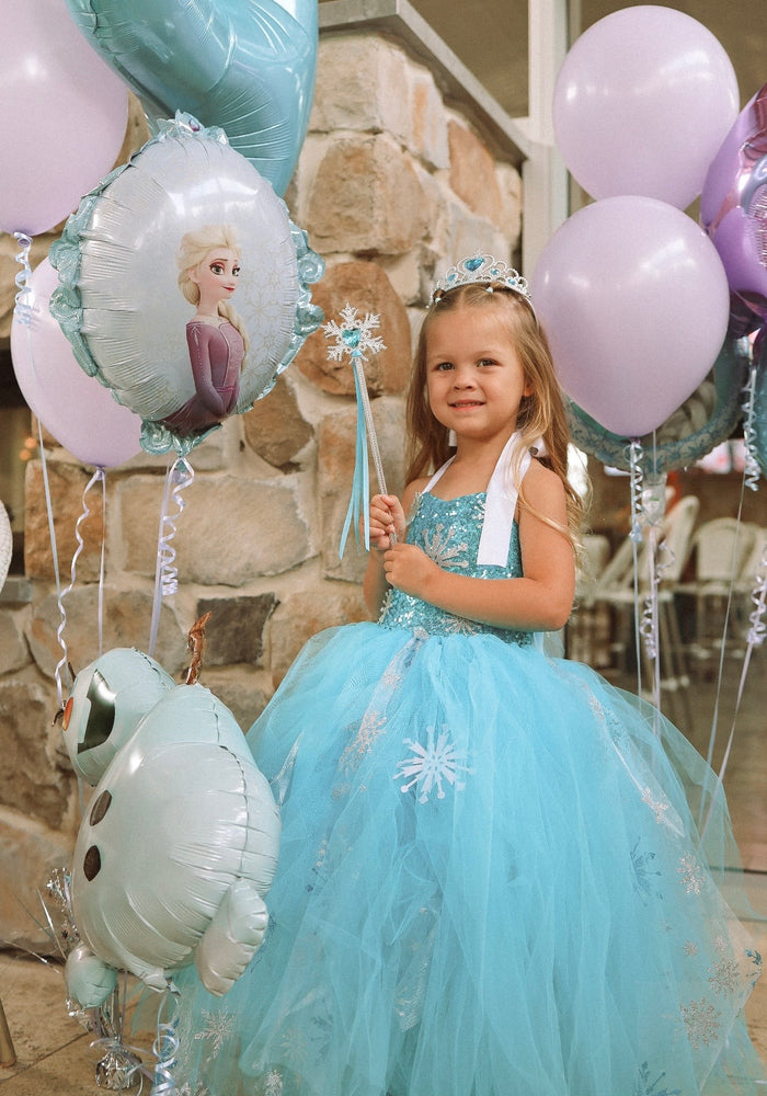 Elsa Snow Princess Tulle Tutu Dress Costume with Jewellery Set - Fox Baby & Co
