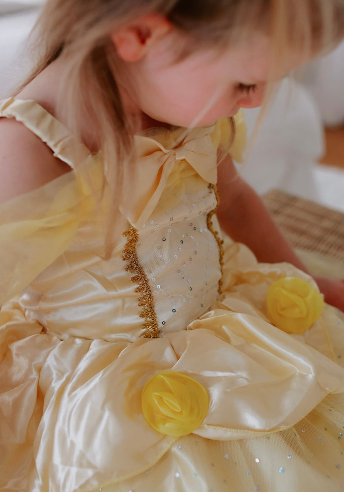 Magical Beauty Princess Party Dress Costume - Fox Baby & Co