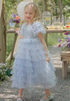 Load image into Gallery viewer, Snow Sparkle Blue Frill Princess Party Dress - Fox Baby &amp; Co
