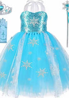 Load image into Gallery viewer, Elsa Snow Princess Tulle Tutu Dress Costume with Jewellery Set - Fox Baby &amp; Co
