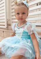 Load image into Gallery viewer, Snow Princess Princess Birthday Tutu
