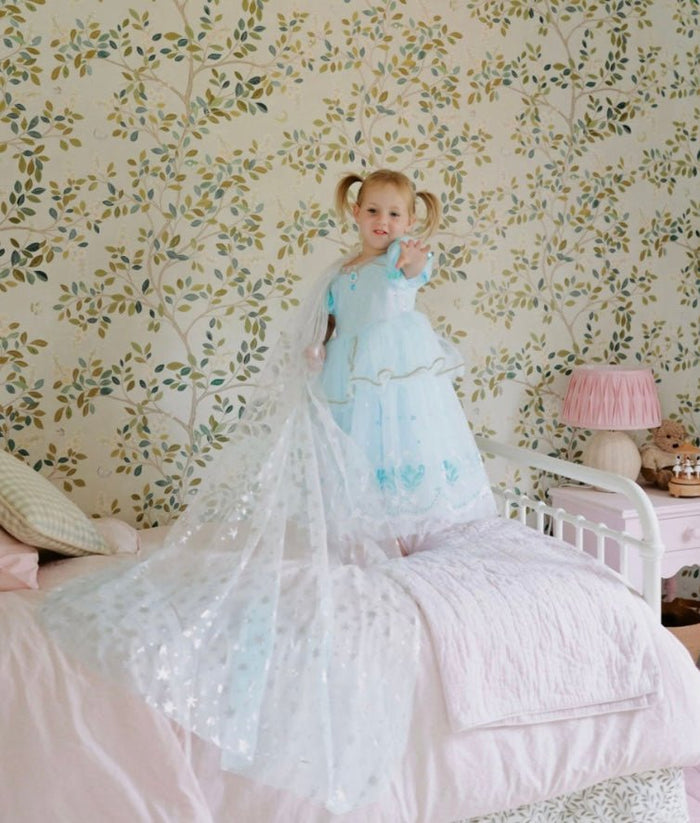 Snow Queen Princess Birthday Party Dress Costume with cape - Fox Baby & Co