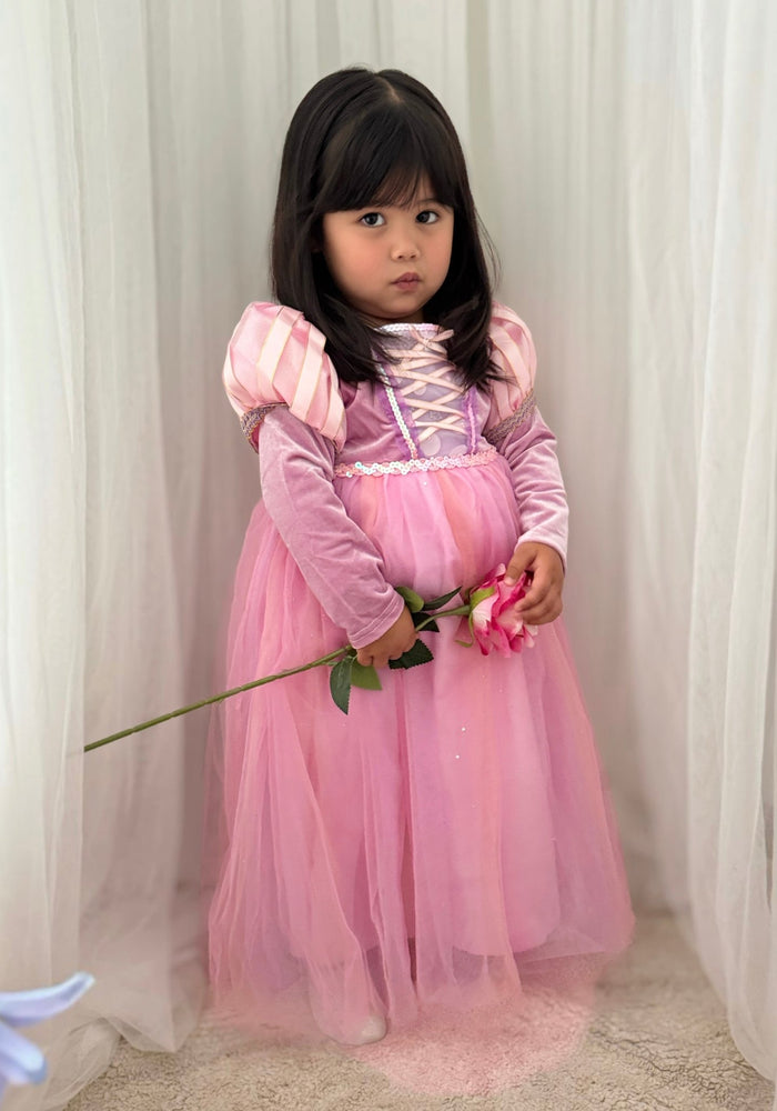 Enchanted Purple Princess Birthday Long Sleeve Party Dress Costume - Fox Baby & Co
