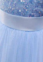 Load image into Gallery viewer, Pre order- Kid little girl Sapphire Sparkle Princess Birthday Dress
