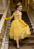 Load image into Gallery viewer, Classic Belle Luxe Princess Party Dress Costume - Fox Baby &amp; Co
