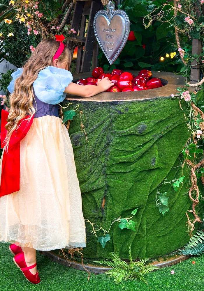 Magical Snow White Luxe Princess Party Dress Costume - Fox Baby & Co