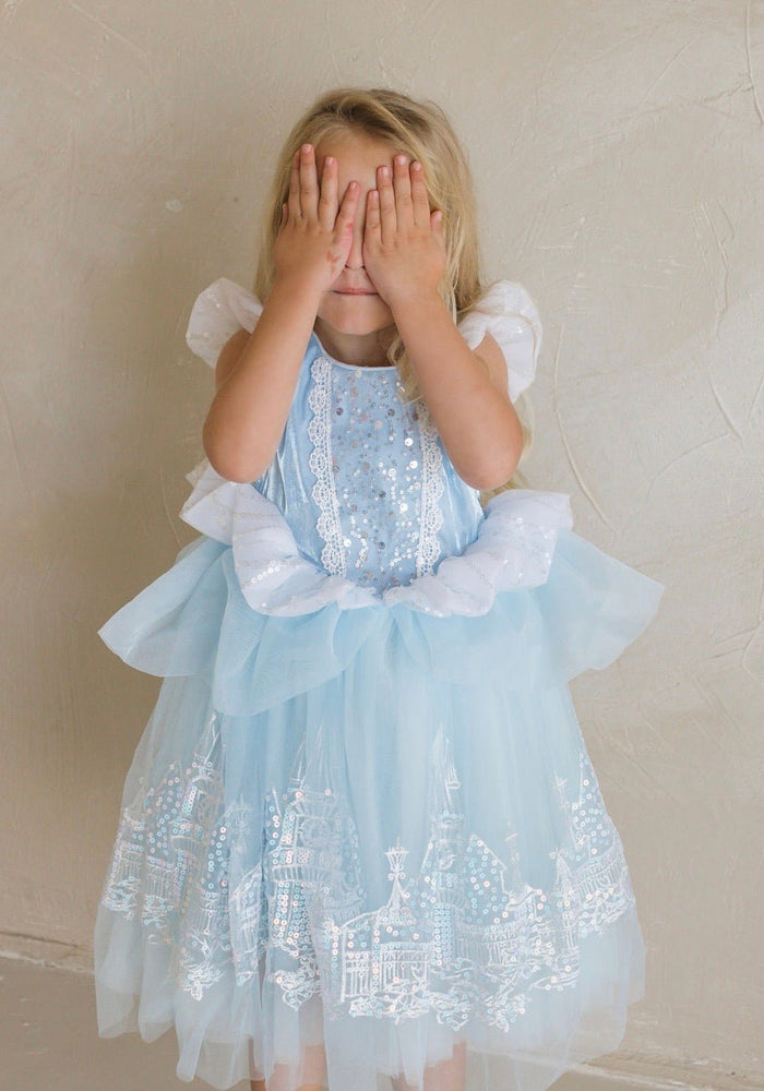 Cinderella Enchanted Castle Luxe Dress & Matching Gloves - Fox Baby & Co