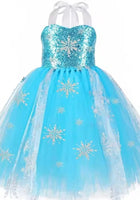 Load image into Gallery viewer, Elsa Snow Princess Tulle Tutu Dress Costume with Jewellery Set - Fox Baby &amp; Co
