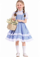 Load image into Gallery viewer, 💙 Dorothy Blue Gingham Storybook Dress - Fox Baby &amp; Co
