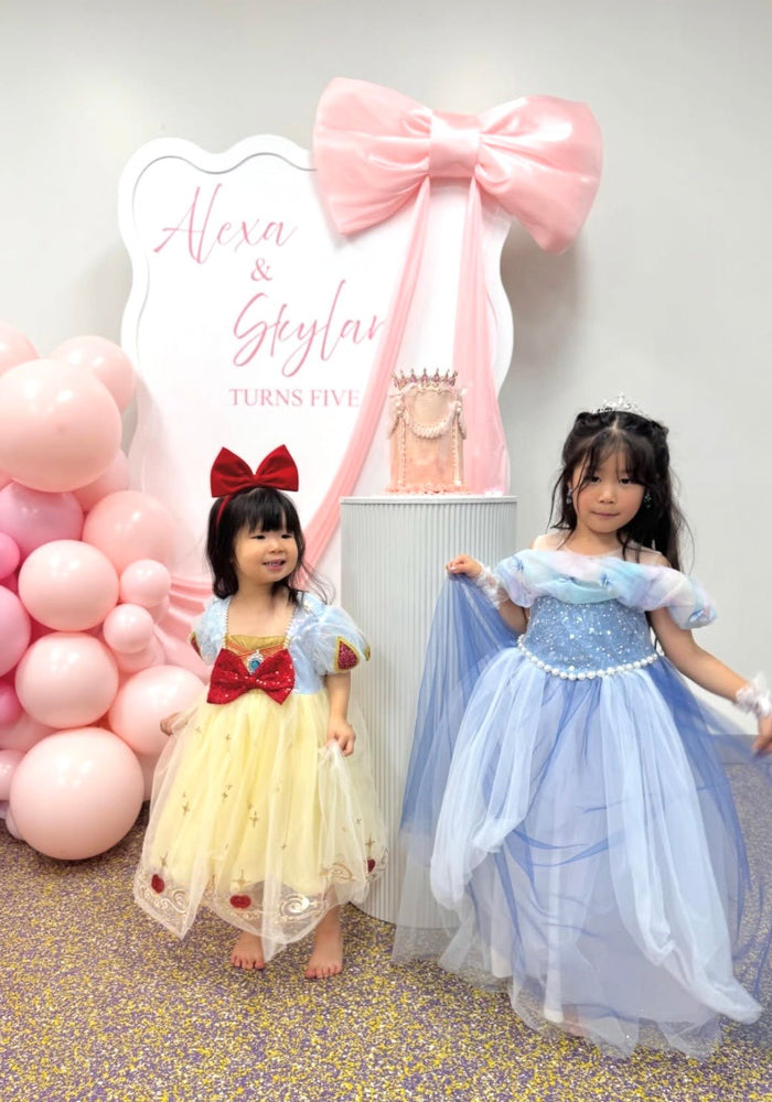Blue Whimsical Cinderella Princess Luxe Party Dress - Fox Baby & Co