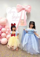 Load image into Gallery viewer, Blue Whimsical Cinderella Princess Luxe Party Dress - Fox Baby &amp; Co
