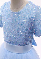 Load image into Gallery viewer, Pre order- Kid little girl Sapphire Sparkle Princess Birthday Dress
