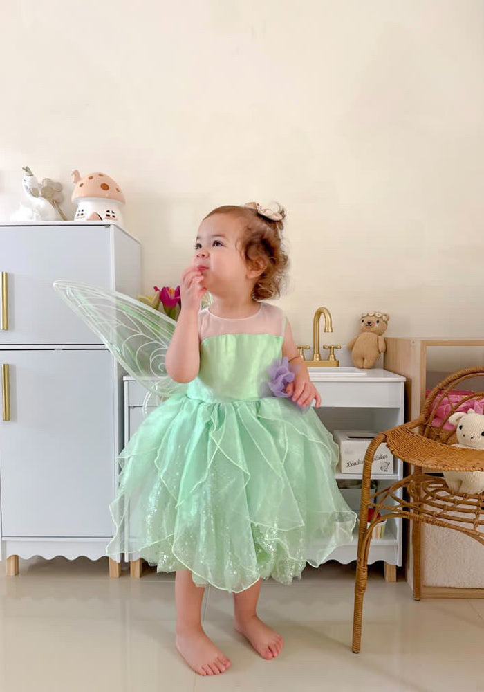 Tinker Fairy Princess Dress & matching Wings - Fox Baby & Co
