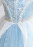 Load image into Gallery viewer, Blue &amp; White Floral Princess Party Dress (pre order)
