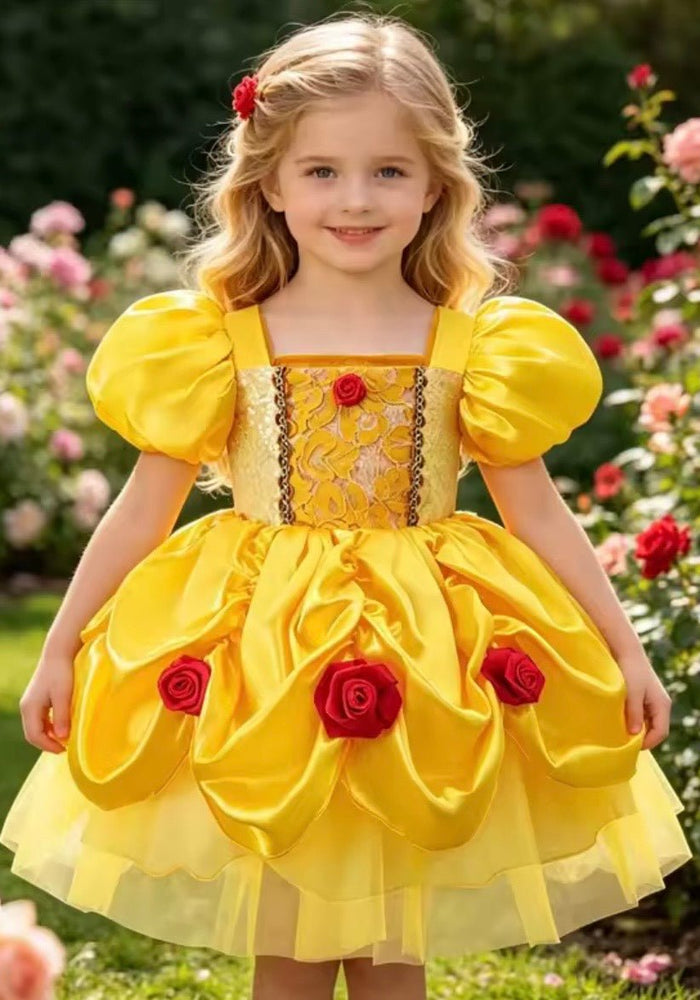 New Mini Baby Belle Luxe Princess Birthday Party Dress - Fox Baby & Co