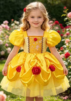 Load image into Gallery viewer, New Mini Baby Belle Luxe Princess Birthday Party Dress - Fox Baby &amp; Co
