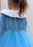 Load image into Gallery viewer, Winter Elsa Princess Long Sleeve Birthday Party Dress Costume - Fox Baby &amp; Co
