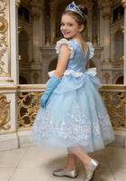 Load image into Gallery viewer, Cinderella Enchanted Castle Luxe Dress &amp; Gloves - Fox Baby &amp; Co
