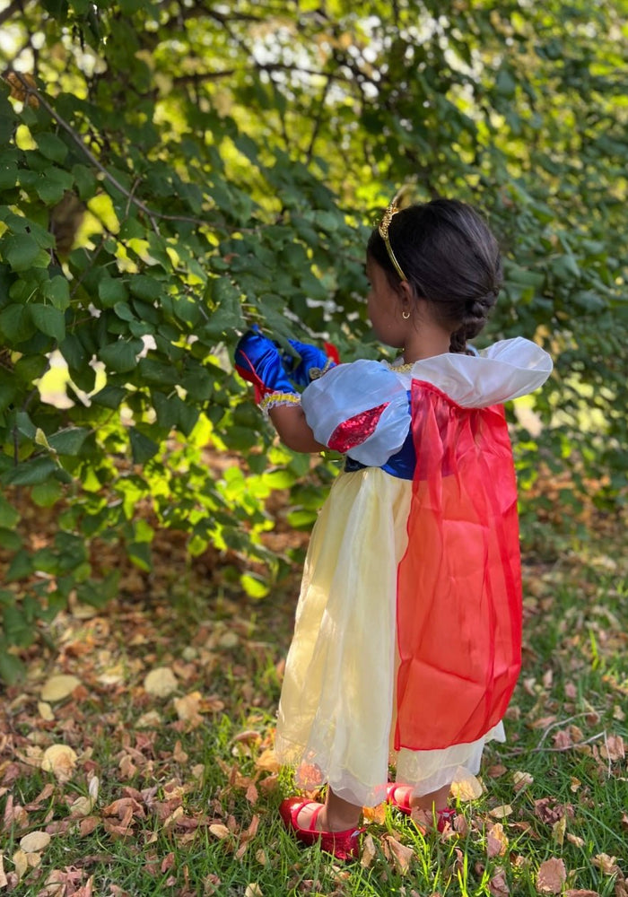 Magical Snow White Luxe Princess Birthday Party Dress Costume & Jewellery Set - Fox Baby & Co