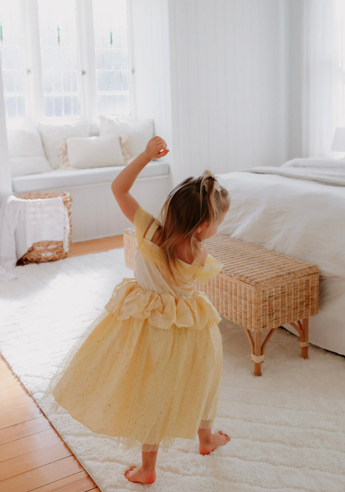 Magical Beauty Princess Party Dress Costume - Fox Baby & Co